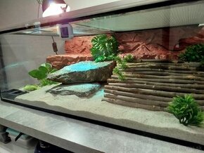 Predam terarium