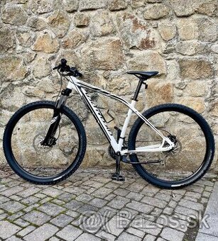 Specialized Rockhopper 29” L