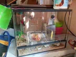 Terarium