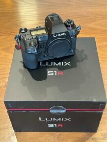 Panasonic Lumix S1R - 1