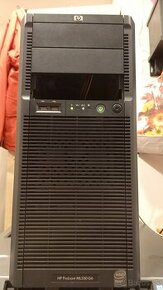 server HP Proliant ML330 G6 - 1