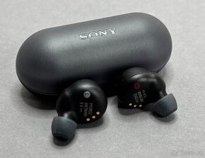 Sony WF-C500