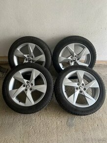 Zimná sada Škoda 5x100 205/55 R17