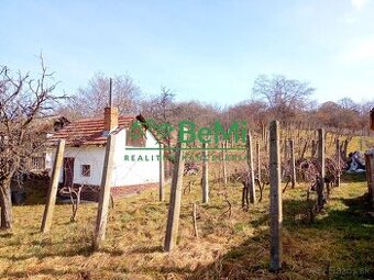 Predaj pozemku s vinicou a viničným domom - Levice ( 045-13- - 1