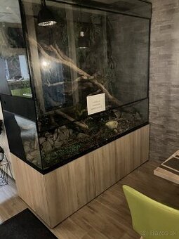 Terarium