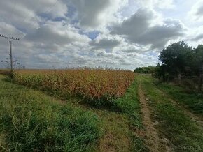 Výrazne znížená cenaNa predaj stavebný pozemok Žitavce pri V