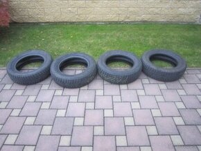 185/65R15 88T zimne pneu Dayton DW510 dezen 6-7mm