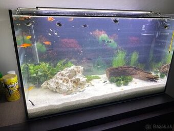 Akvarium 70x30x40