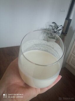 Kefir, Tibetska kefirova huba