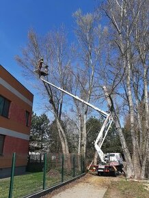 Rizikové pilenie stromov arboristika - 1