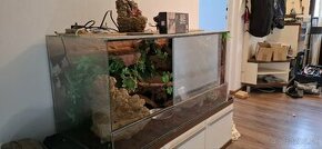 TERARIUM  3 kusy