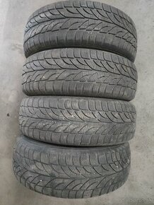 195/65 R15 zima