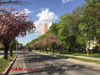 Na prenájom 3 izbový byt Trenčín, Soblahovská ul. - 1