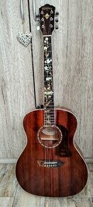 Washburn HG12S- O