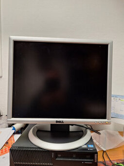 DELL Lcd monitor  19"