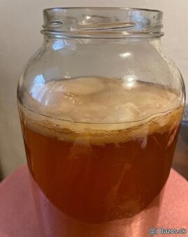 Kombucha-scoby