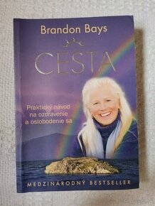 Brandon Bays Cesta