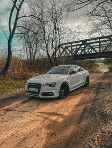 Audi S5 4.2 v8