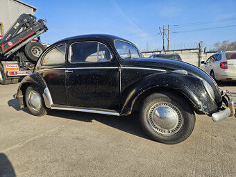 Volkswagen chrobak OVAL 1956 s TP