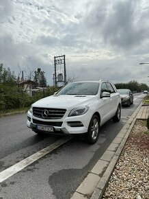 Predam Mercedes Benz ML350 - 1