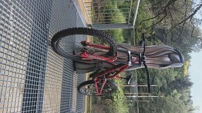 Commencal Furious 2020 downhill