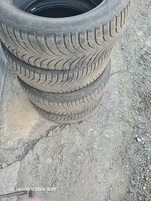 NEXEN WINGUARD SNOW G WH2 205/55 R16