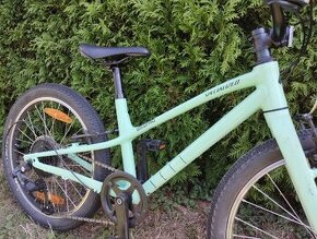 Detský Bicykel SPECIALIZED Jett 20 Gloss Oasis/Forest Green