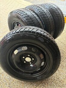 Zimna sada 195/65 R15