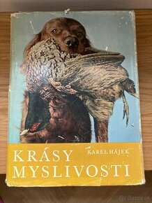 Krásy myslivosti, Hájek