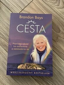 Kniha Brandon Bays - Cesta