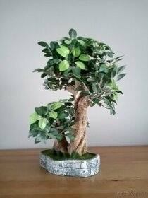 Bonsai umelý/dekorácia 12€ - 1