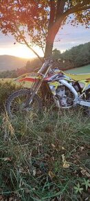 Suzuki rmz 250