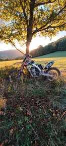 Suzuki rmz 250