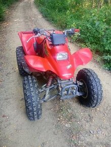 Honda TRX 250 ex