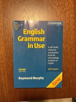 English Grammar In Use