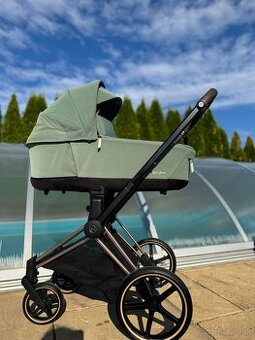 Cybex leaf