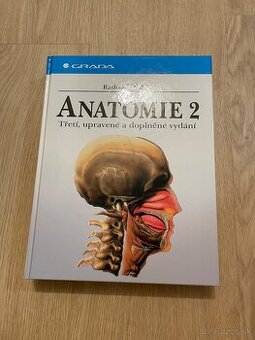 Anatomie 2 - Čihák