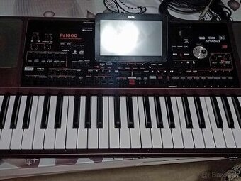 Korg pa1000