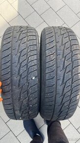 195/65R15 zimne