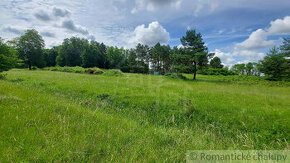 Lesný pozemok 37 000 m2 - 3,7 ha v obci Borský Mikuláš, 60