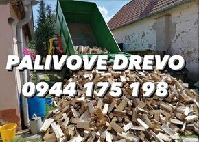 PALIVOVE DREVO