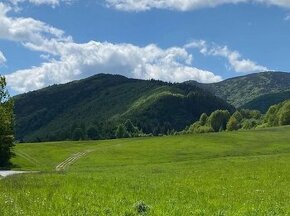 Veľký Lipník – 22.036 m2 ORNÁ PÔDA a LESY – Na Predaj