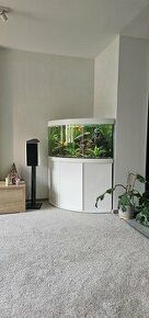 akvarium juwel 350L s vybavenim aj s rybami