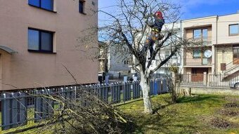 orez stromov, celková starostlivosť o záhradu, výruby - 1