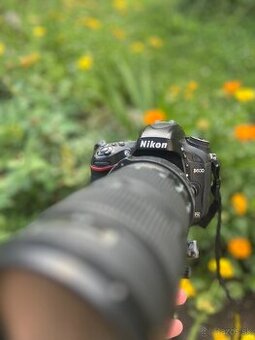 Nikon D600