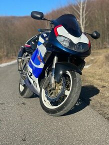 Suzuki TL 1000 R