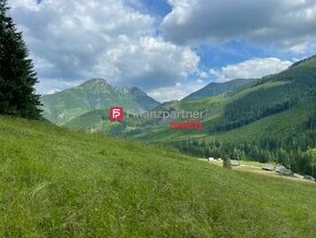 S výhľadom na Tatry (F333-14-ANMi)