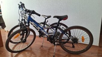 Detsky bicykel 2ks, CTM Willy 2.0, 24"