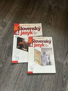 Slovenský jazyk pre stredné školy