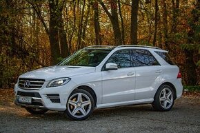 Mercedes-Benz ML 250 BLUETEC 4MATIC 2014